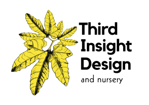 Third Insight Design Logo