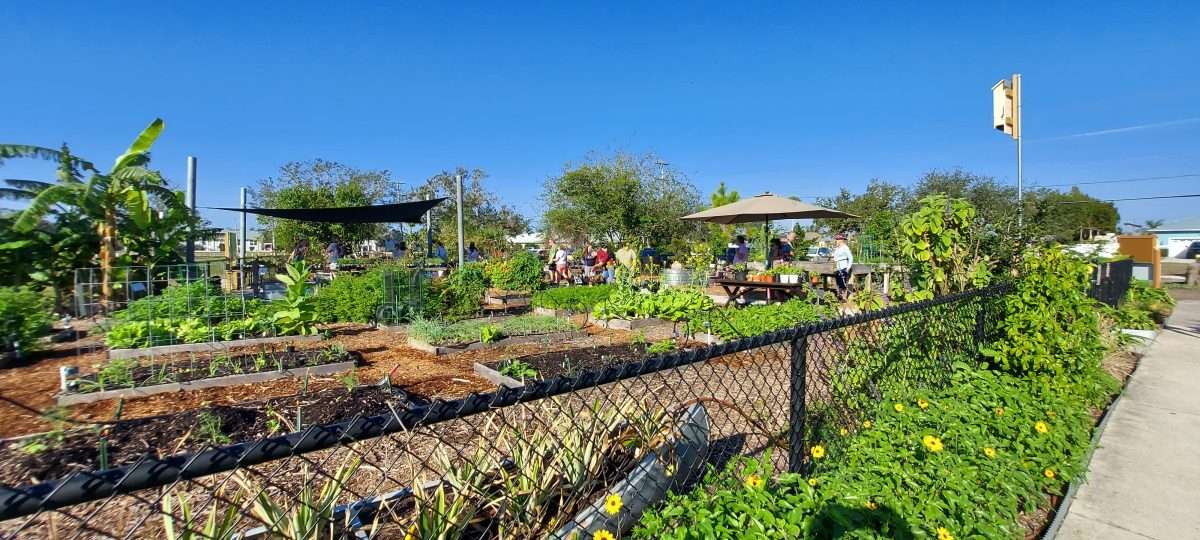 Apollo Beach Garden Club