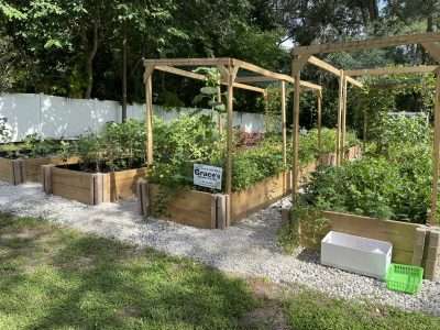 Photo of the Tampa Family Health Centers Community Garden