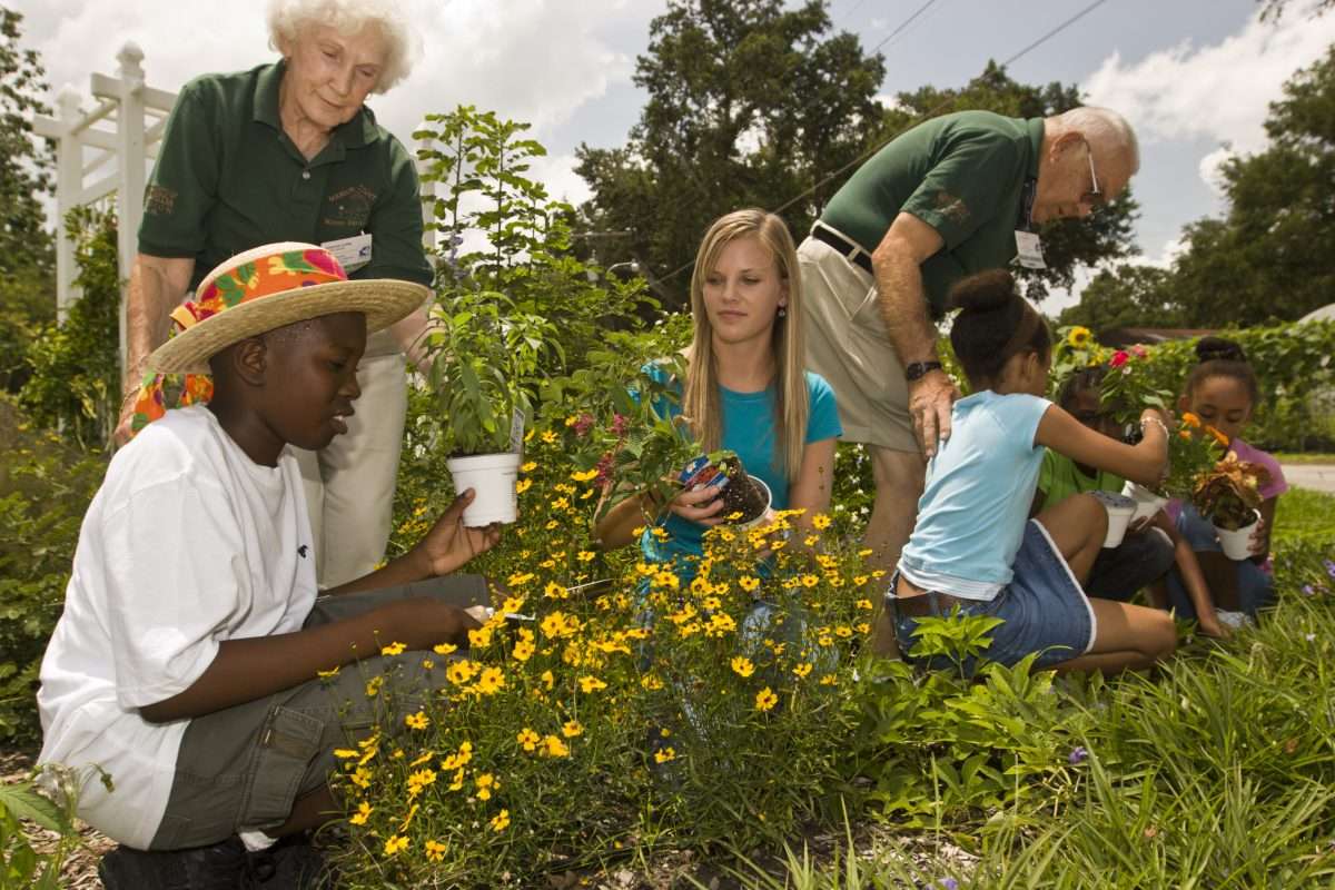 Master Gardeners Teaching And Working With Youth In A Garden.