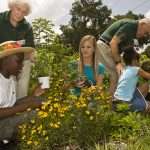 Master Gardeners Teaching And Working With Youth In A Garden.