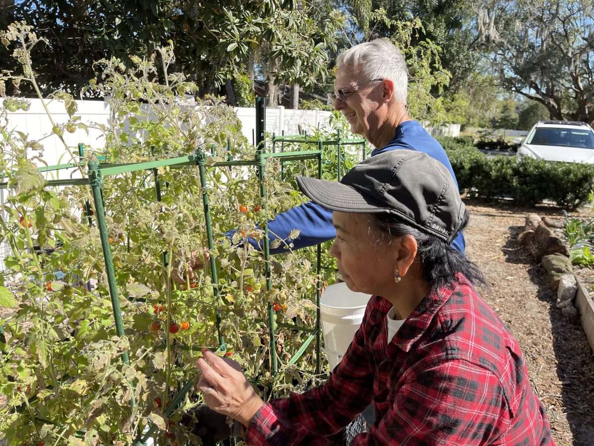Garden Volunteers