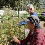 Garden Volunteers