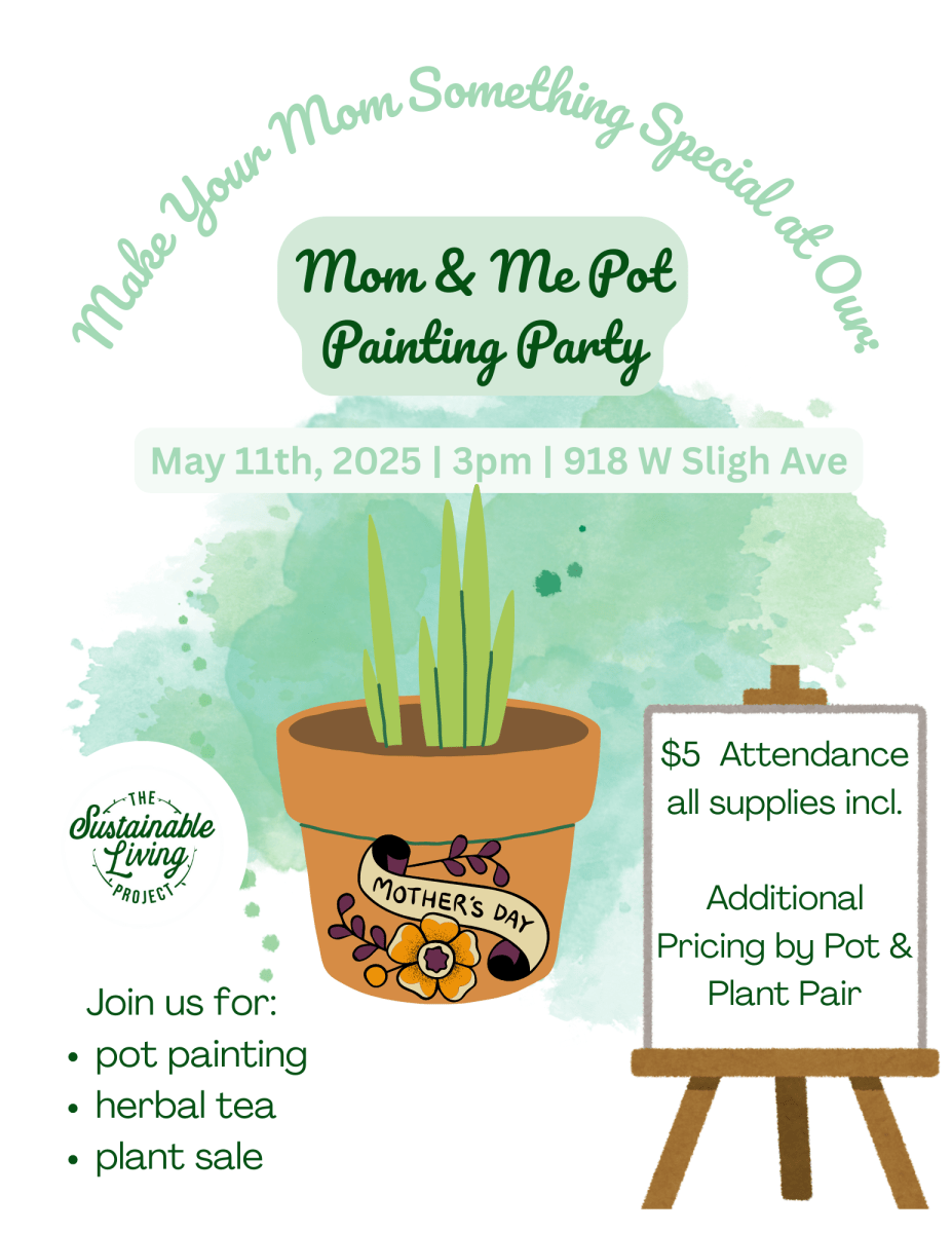 Slp Pot Painting