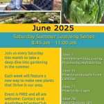 June summer series copy