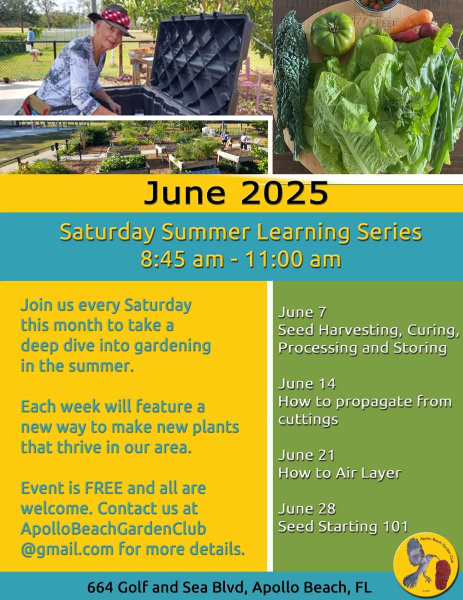 June summer series copy