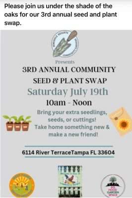 Seed plant swap july 19