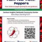 Jh garden promo