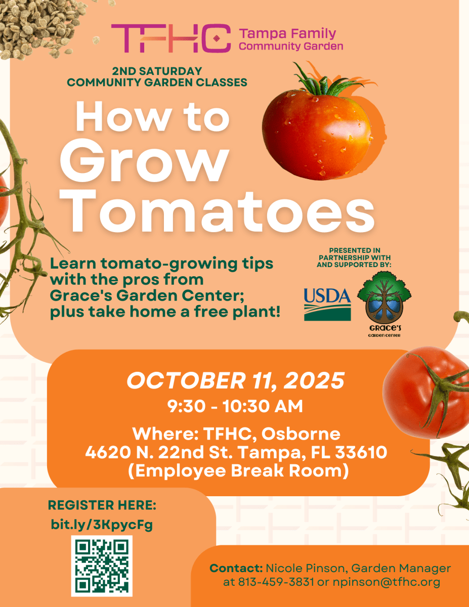 How to grow tomatoes