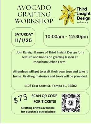 Third insight design